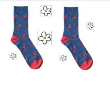 2 sokken flamingo volwassenen bloem